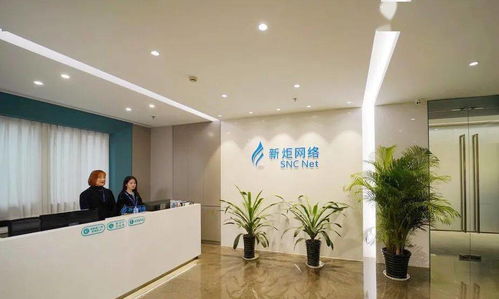 上海松江8家企業榮登2020軟件和信息技術服務業“雙百”榜單